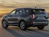 Огород подстаканников: кроссовер Hyundai Palisade представлен официально