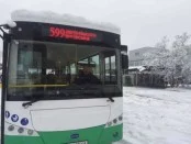 На дороги Киева выехала первая электрическая маршрутка