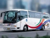 Как арендовать автобус для пассажирских перевозок?