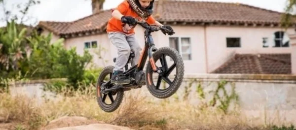 Cтартовали продажи самых дешевых Harley-Davidson