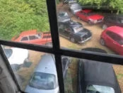 У Британії знайшли занедбаний особняк із сотнею рідкісних авто